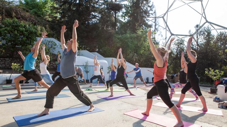 Yoga class in the Mediterranean Biome at the Eden Project