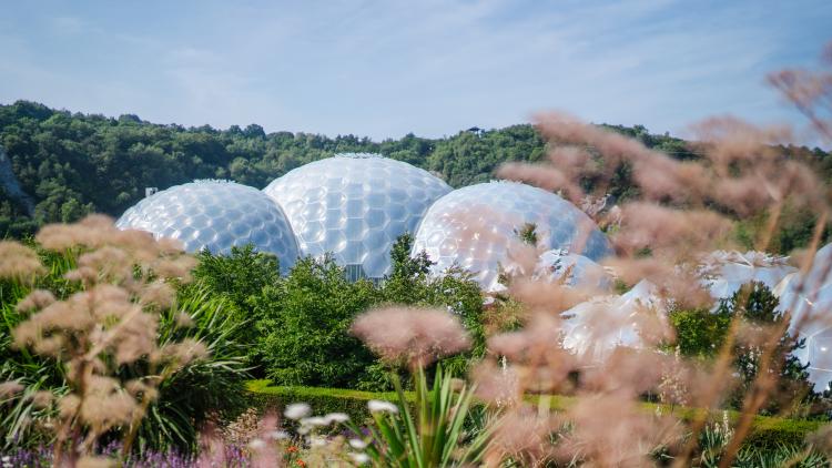 External Biomes shot capturing the Biomes on a sunny day in amongst foliage and greenery