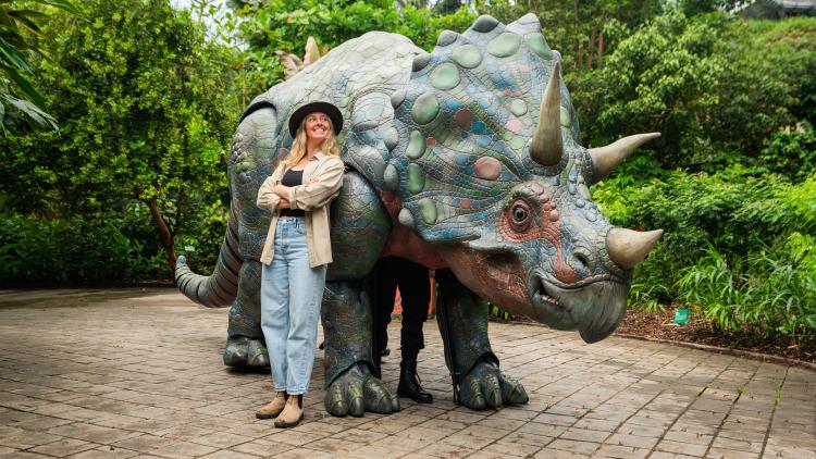 Life-size Triceratops dinosaur puppet inside the Rainforest with 'Dinosaur wrangler' woman stood next to it