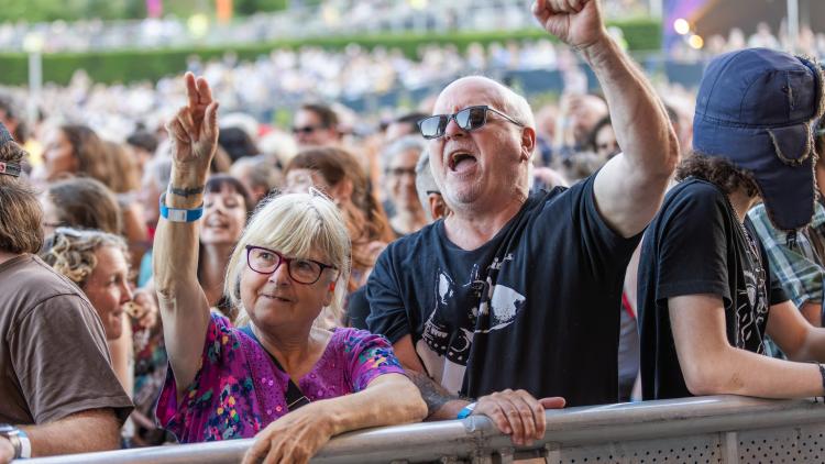 Man and woman with their arms up in gig crowd