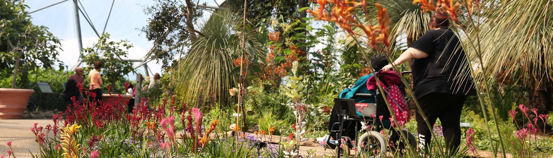 A person pushing someone in a wheelchair through the biome