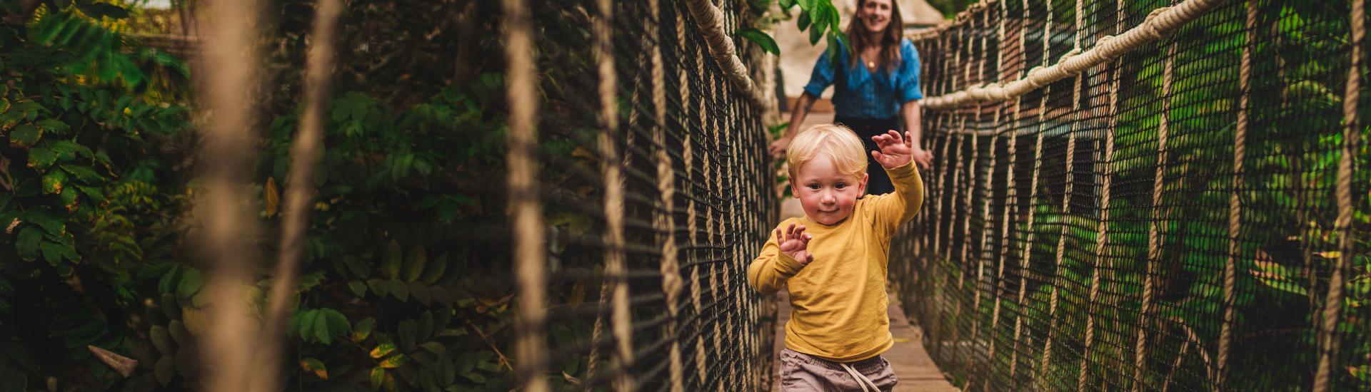 Mother and son on Rainforest Biome wobbly bridge - Eden Project