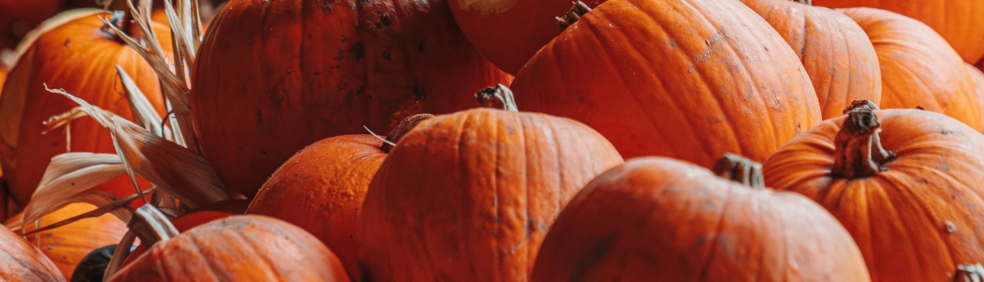 pumpkins at the Eden Project