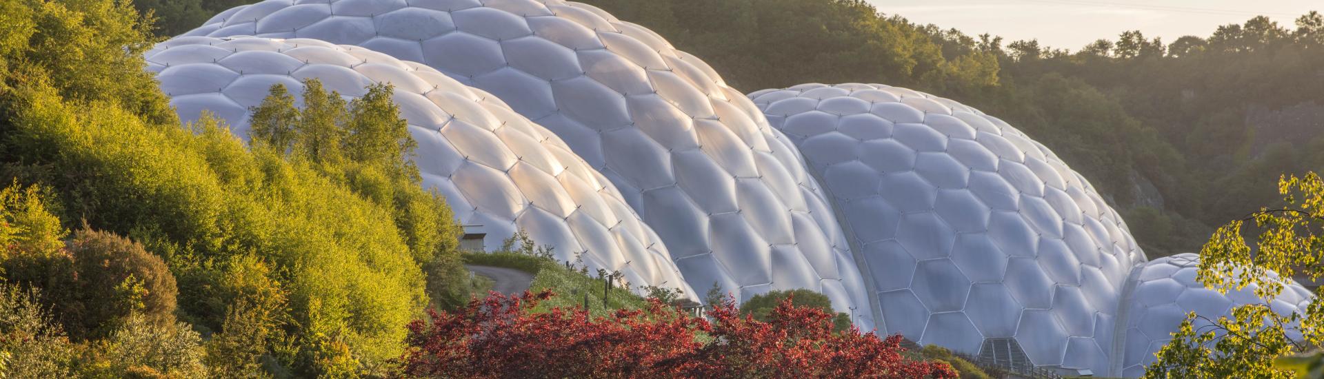 Eden Project Biomes