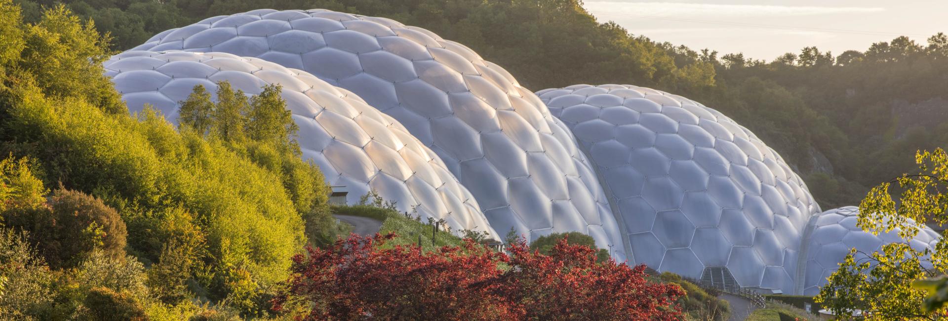 Eden Project Biomes